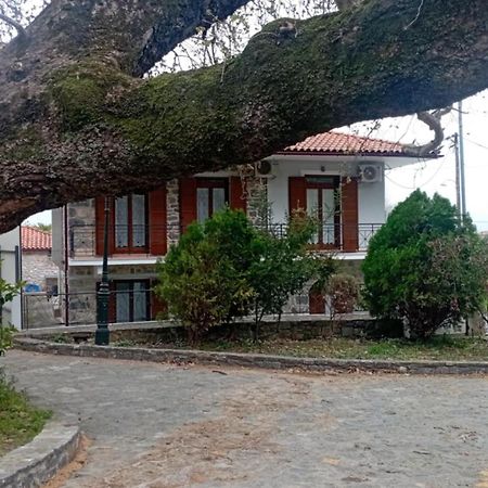 Villa Iris Mystras Ngoại thất bức ảnh