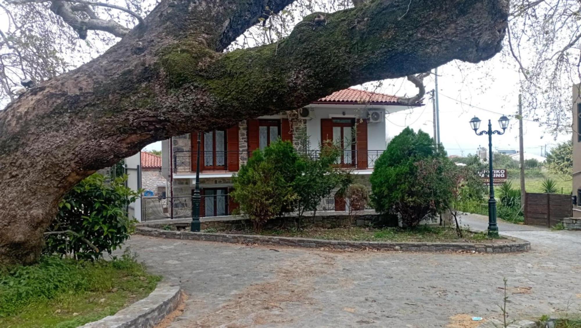 Villa Iris Mystras Ngoại thất bức ảnh