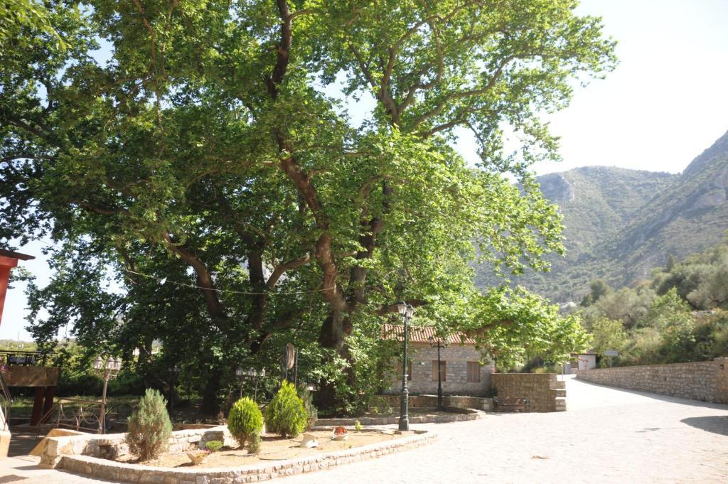 Villa Iris Mystras Ngoại thất bức ảnh